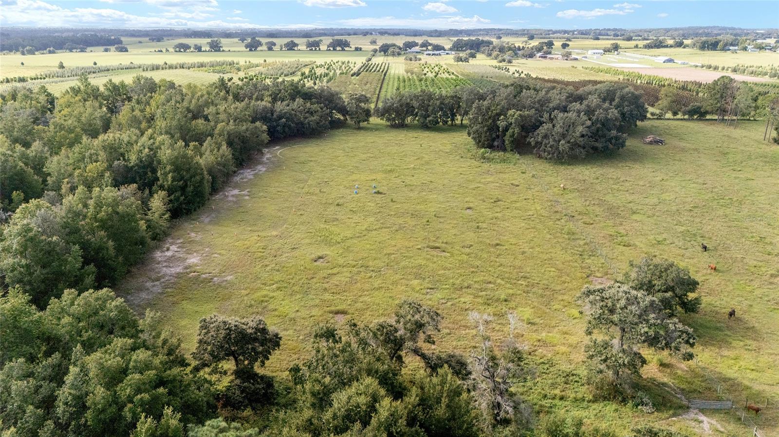 20490 NW 27TH ST, MORRISTON, FL, 32668