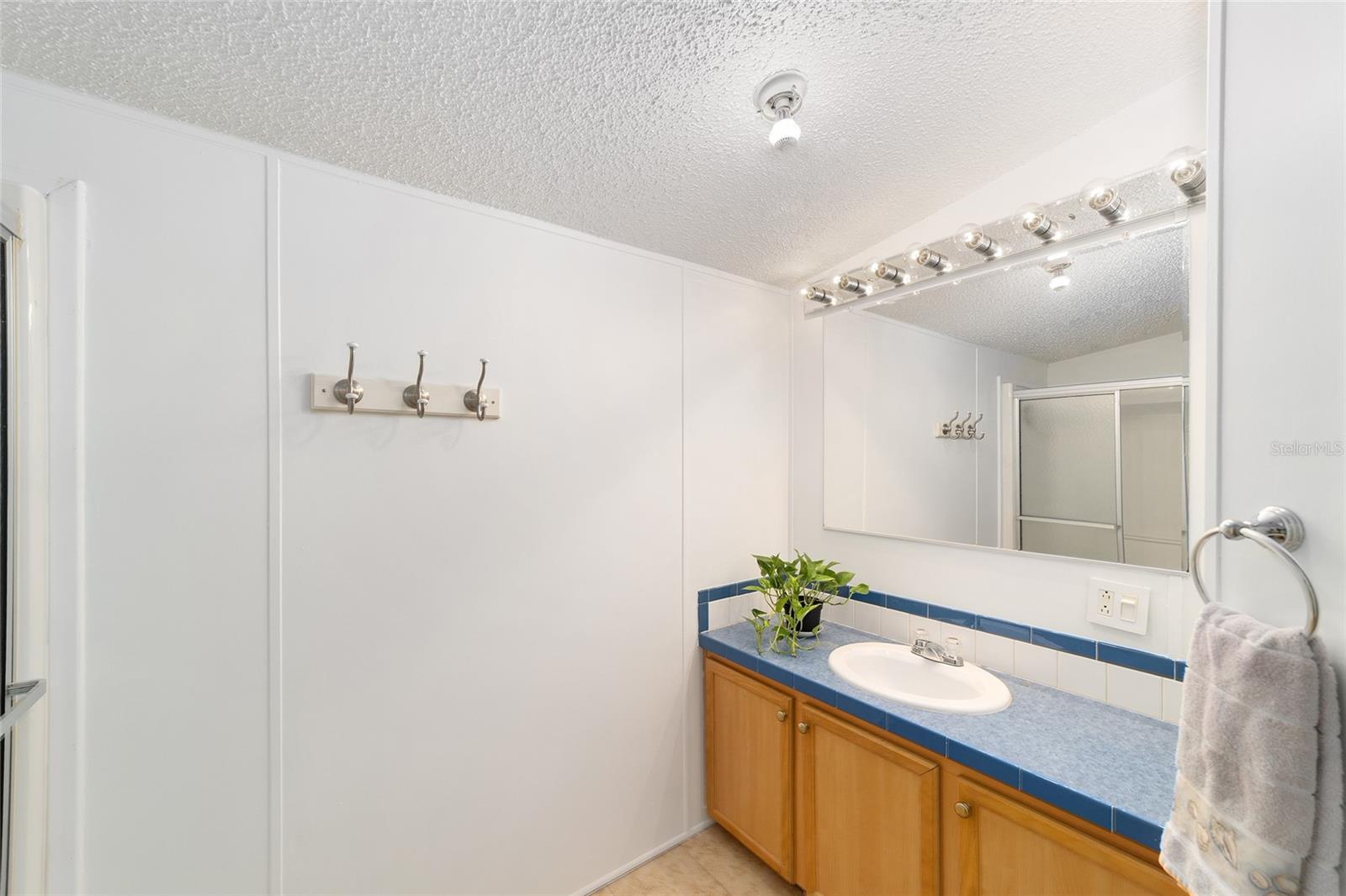 20490 NW 27TH ST, MORRISTON, FL, 32668