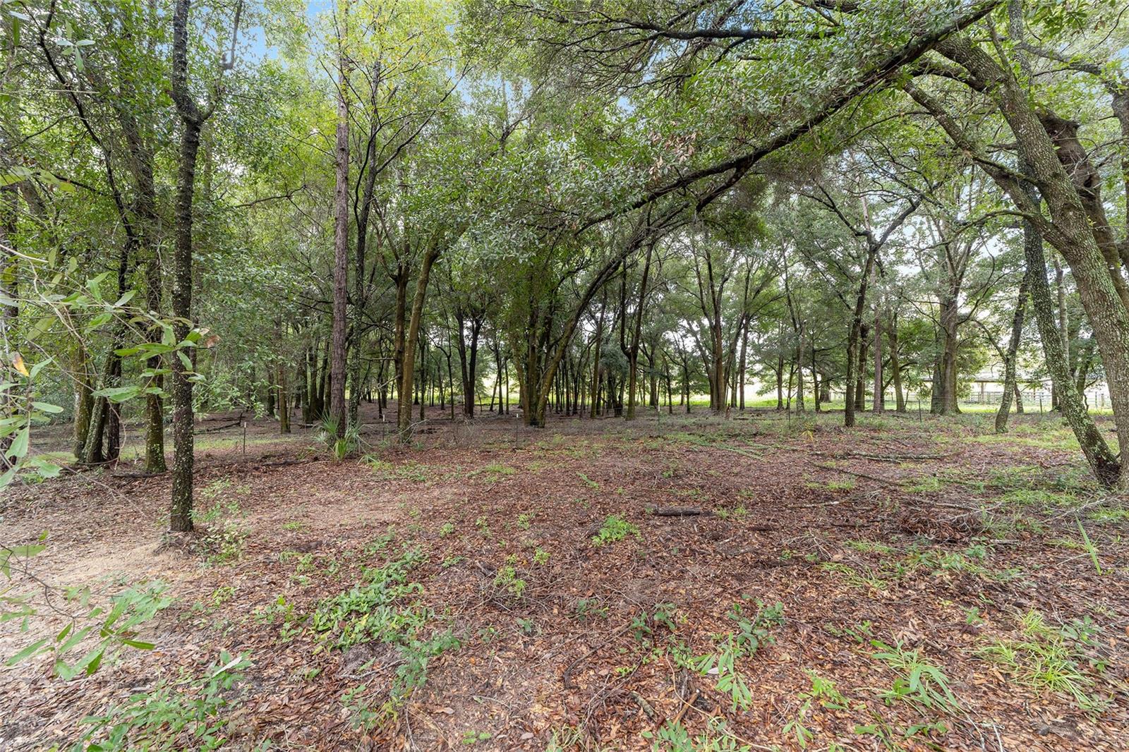 20490 NW 27TH ST, MORRISTON, FL, 32668