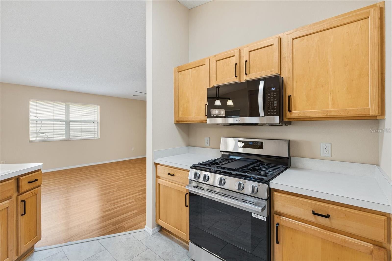 2288 WHISPER ST, THE VILLAGES, FL, 32162