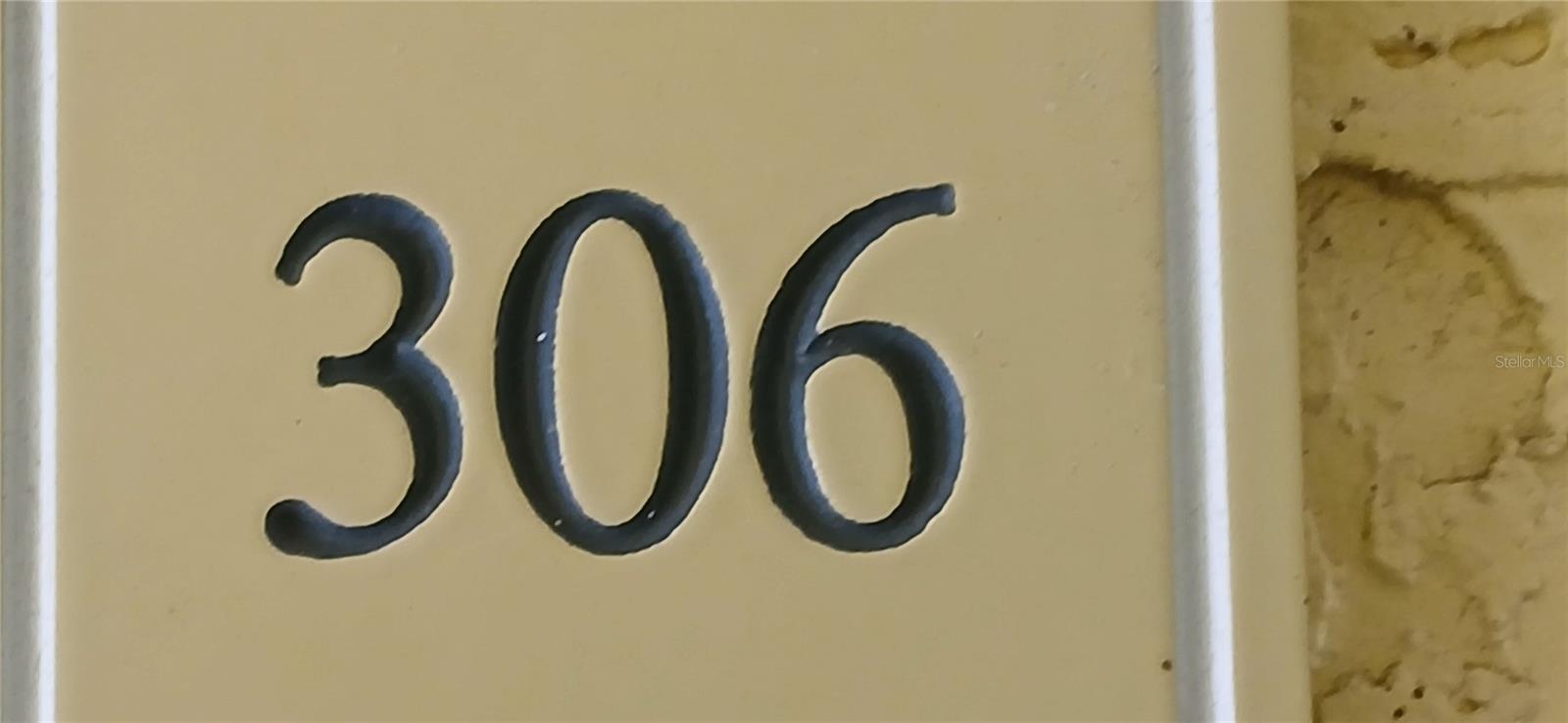 5606 PINNACLE HEIGHTS CIR #306, TAMPA, FL, 33624