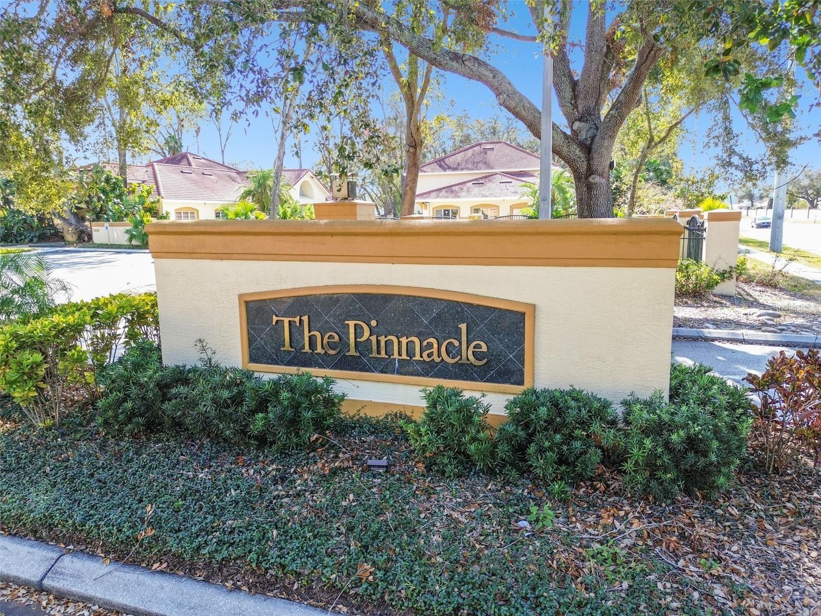 5606 PINNACLE HEIGHTS CIR #306, TAMPA, FL, 33624
