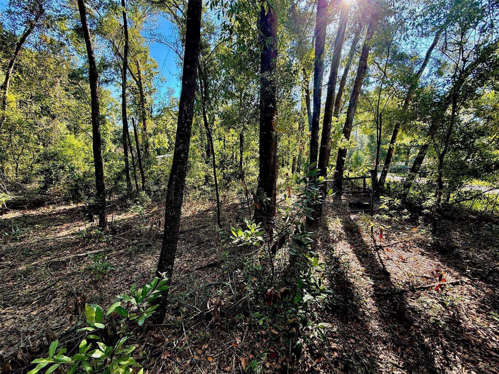 0000 NW 282 TER, BRANFORD, FL, 32008