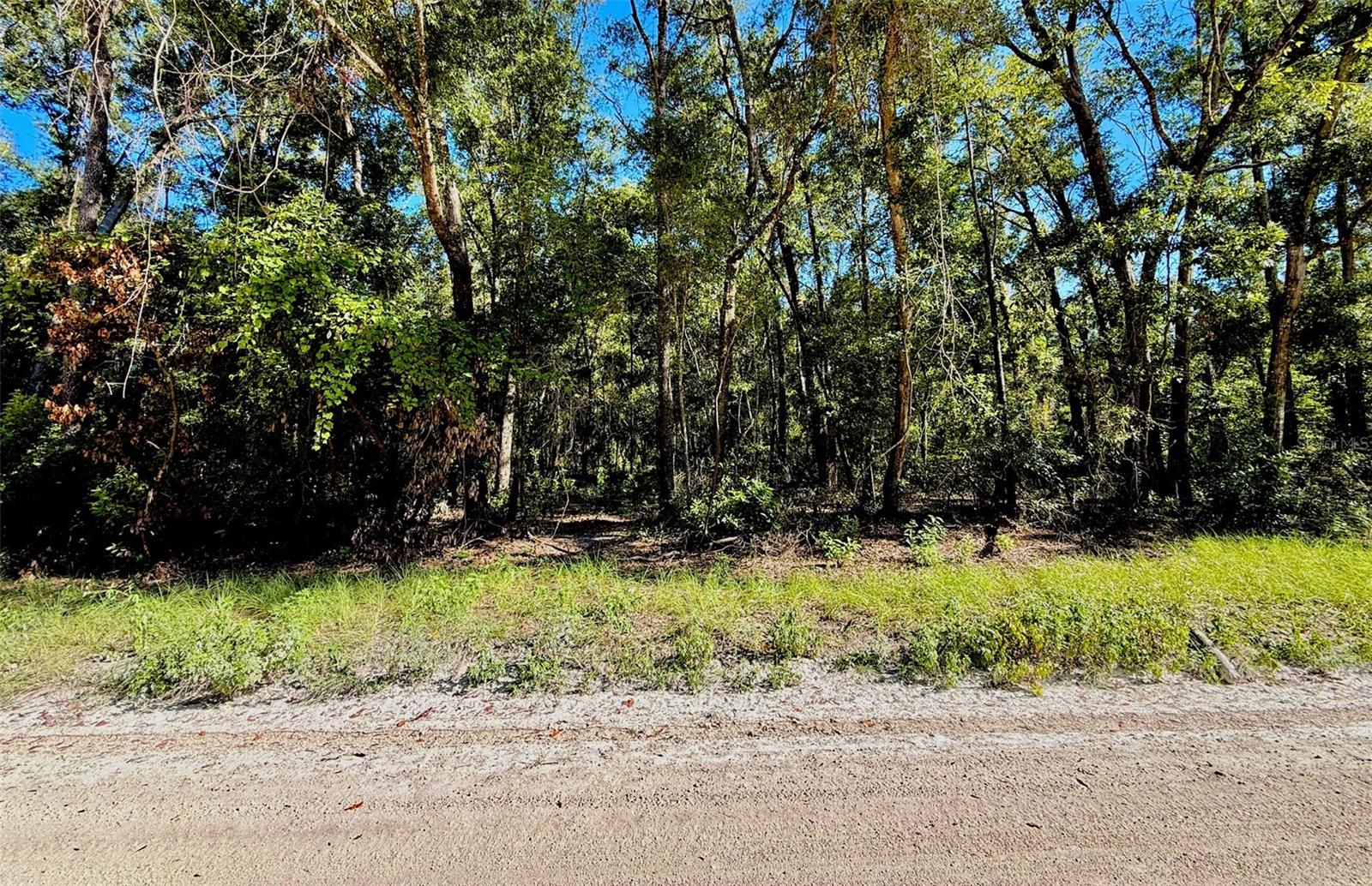 0000 NW 282 TER, BRANFORD, FL, 32008