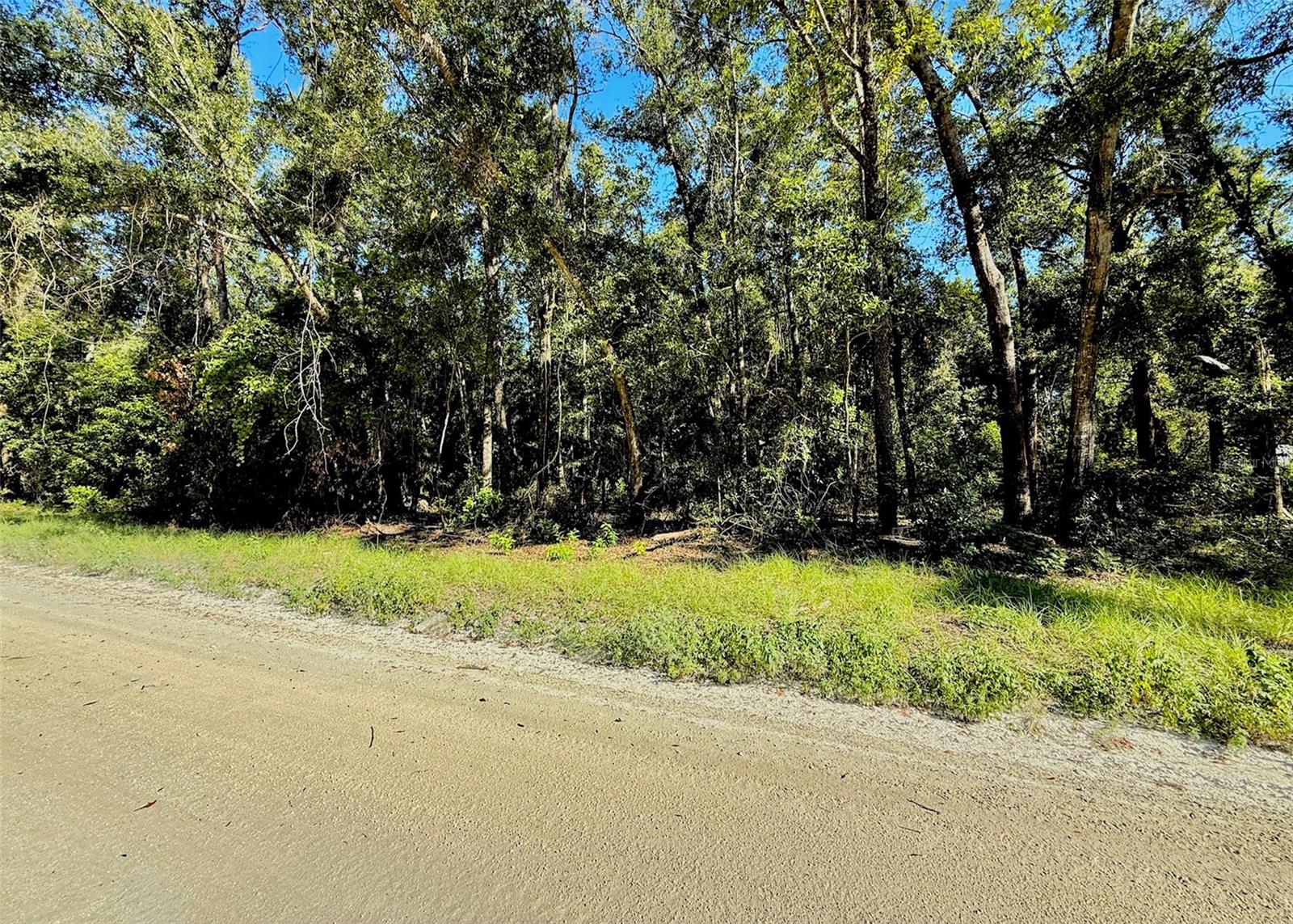 0000 NW 282 TER, BRANFORD, FL, 32008