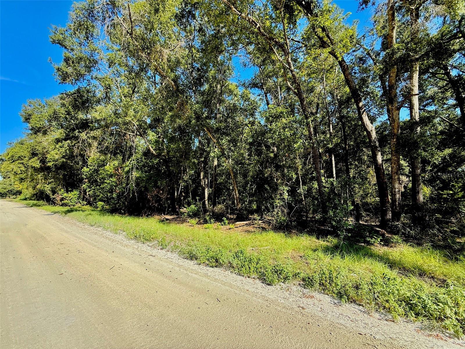 0000 NW 282 TER, BRANFORD, FL, 32008