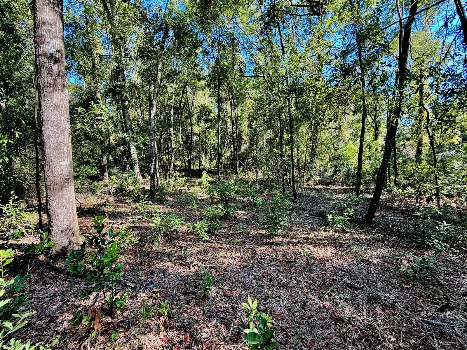 0000 NW 282 TER, BRANFORD, FL, 32008