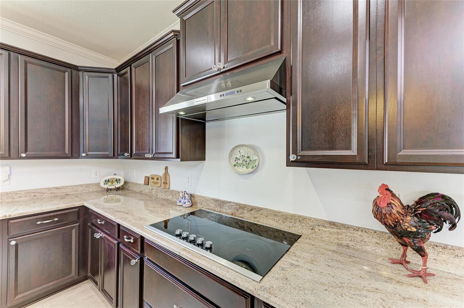 11669 TAPESTRY LN, VENICE, FL, 34293