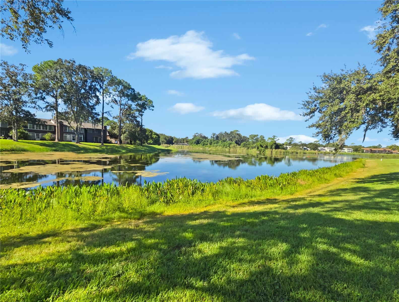 597 MIDWAY DR #A, OCALA, FL, 34472