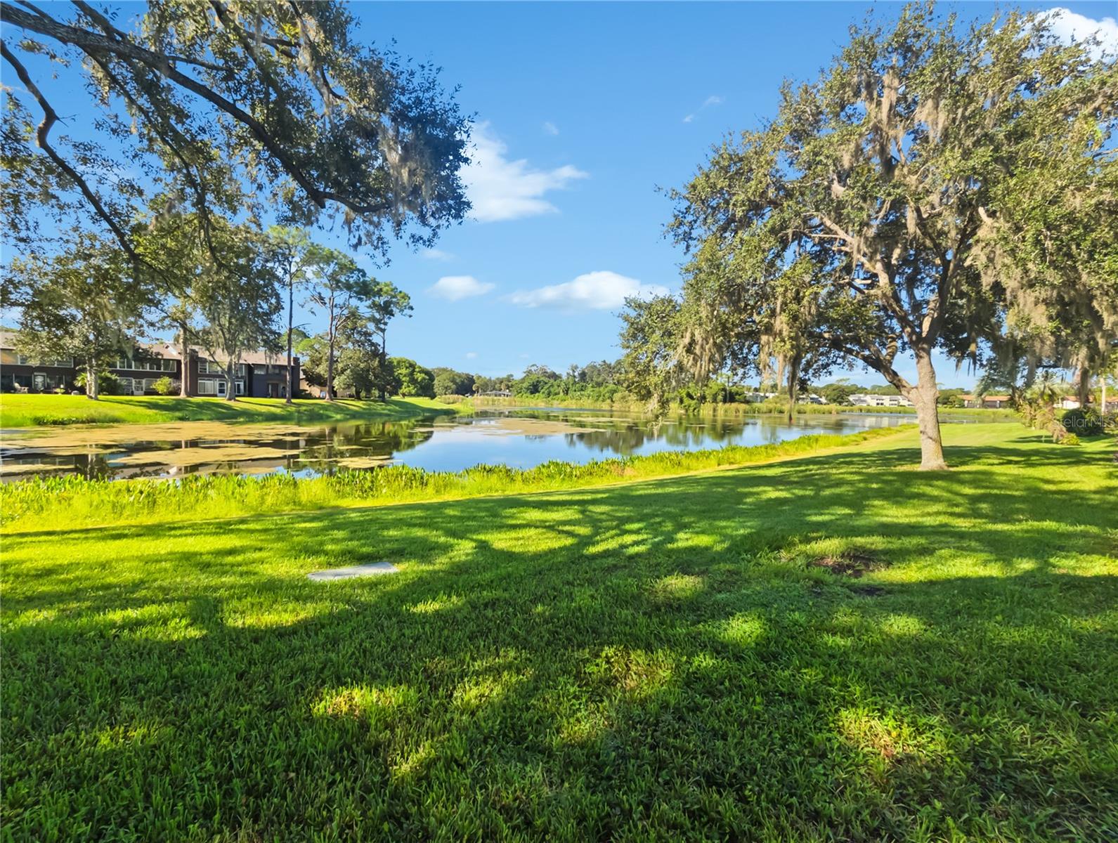 597 MIDWAY DR #A, OCALA, FL, 34472