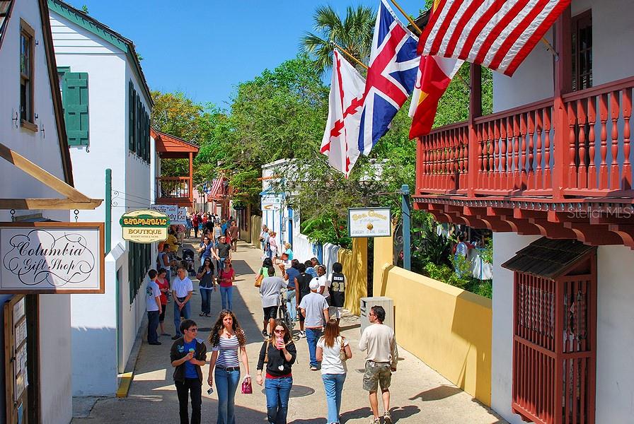 43 BLUE HAVEN RD, ST AUGUSTINE, FL, 32095