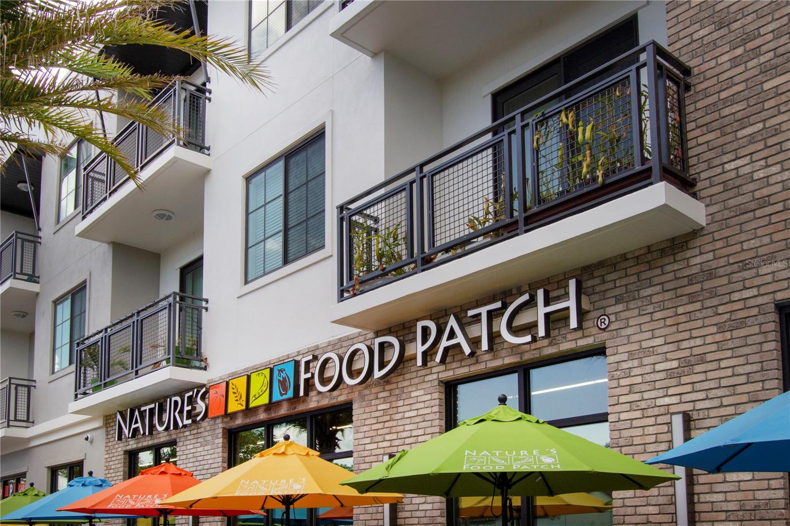 710 LYNDHURST ST #221, DUNEDIN, FL, 34698