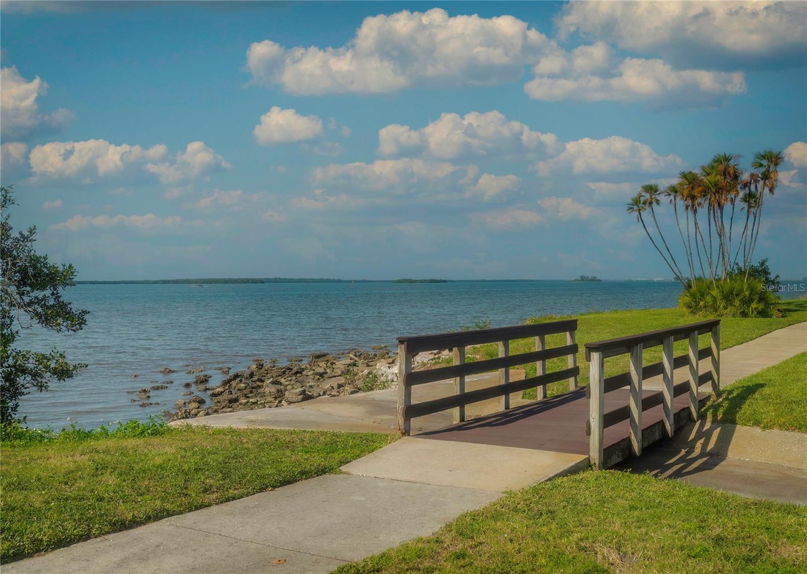 710 LYNDHURST ST #221, DUNEDIN, FL, 34698