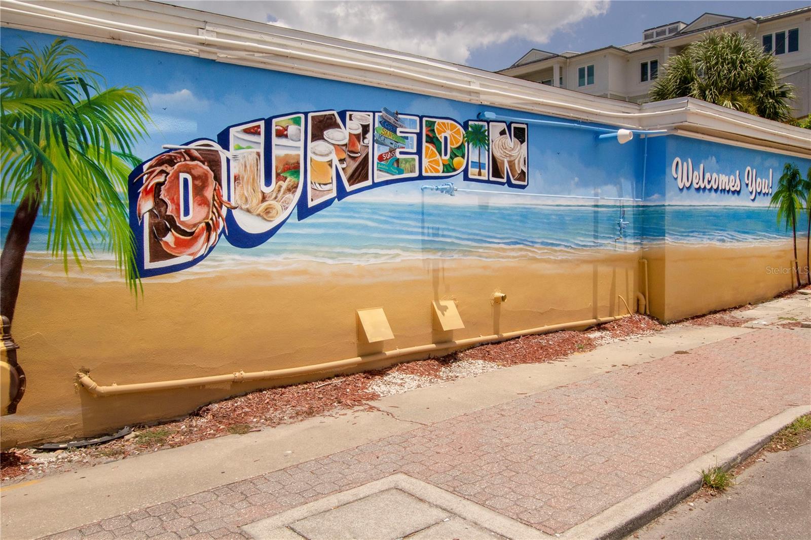 710 LYNDHURST ST #221, DUNEDIN, FL, 34698