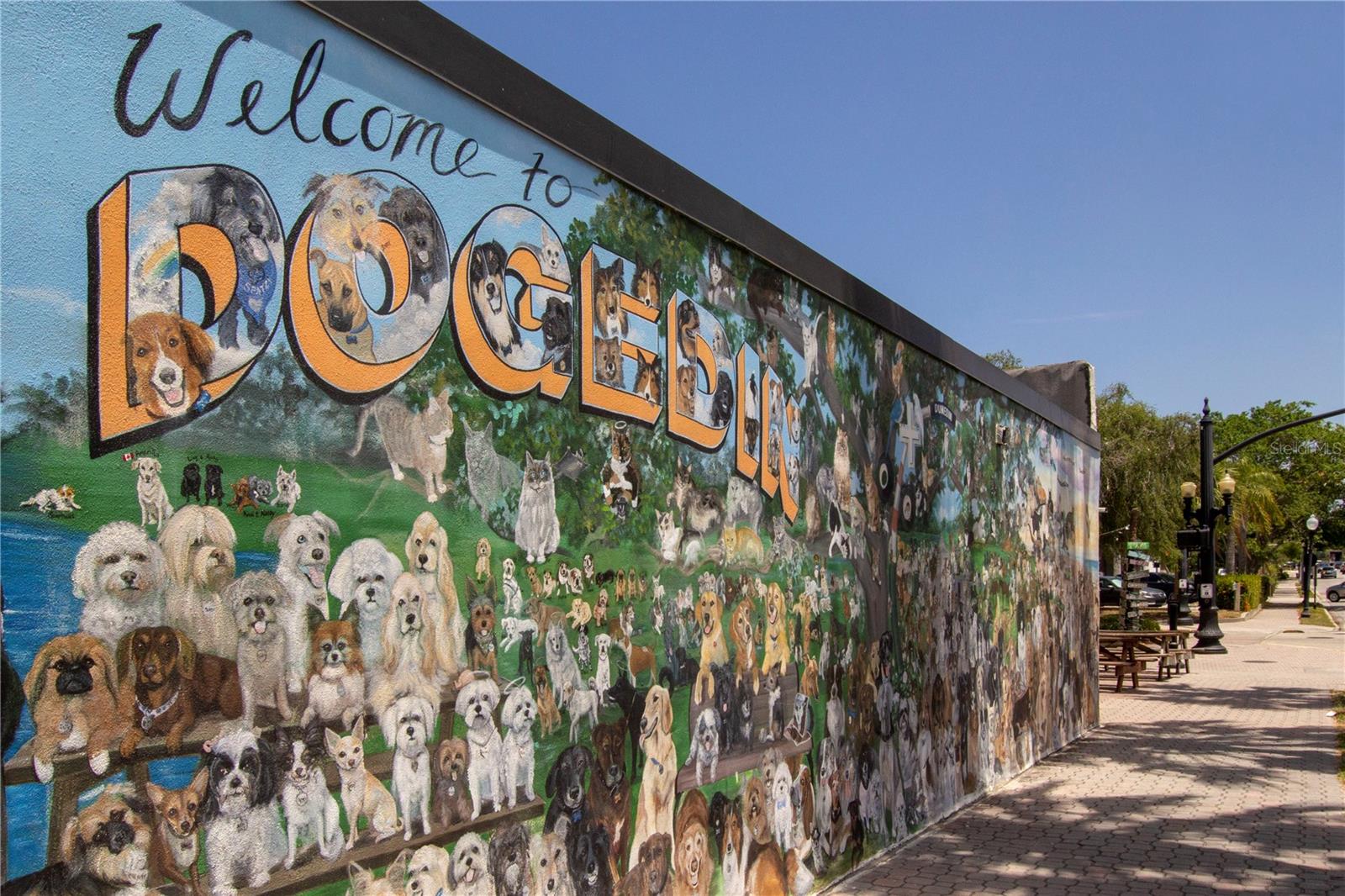 710 LYNDHURST ST #221, DUNEDIN, FL, 34698