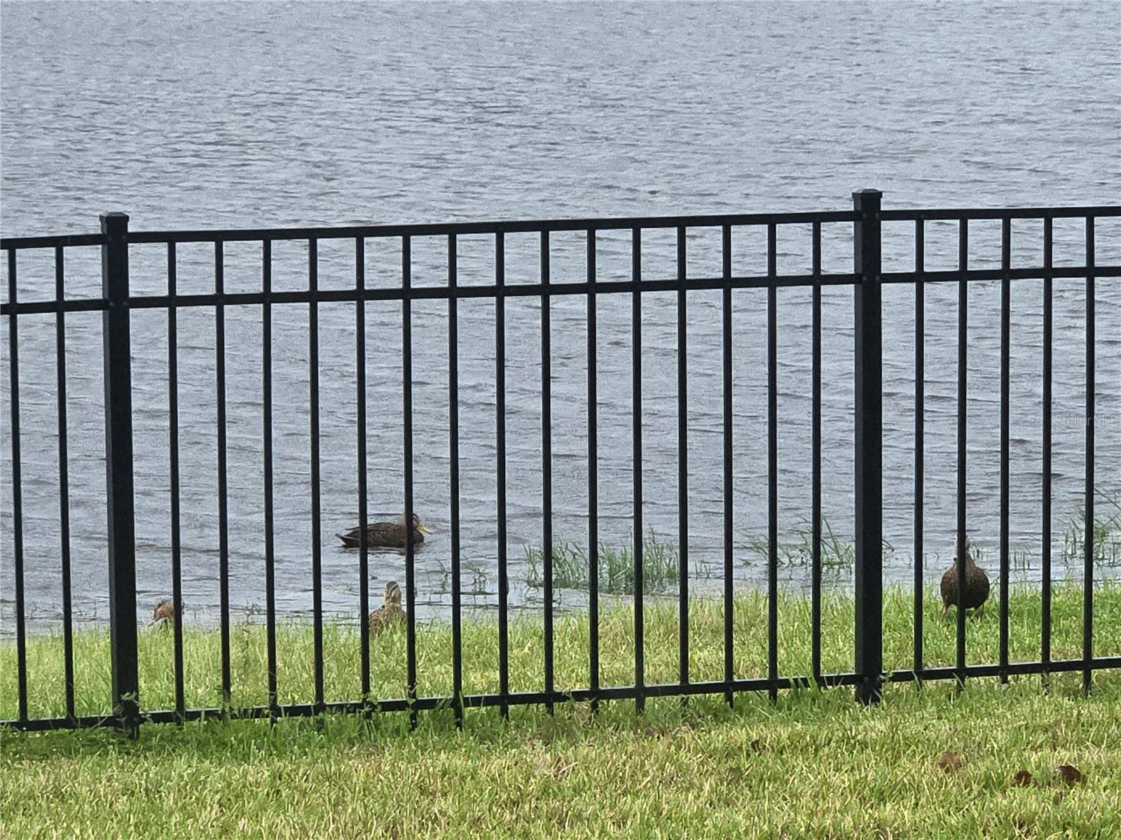 1716 RED ROCK RD, NEW SMYRNA BEACH, FL, 32168