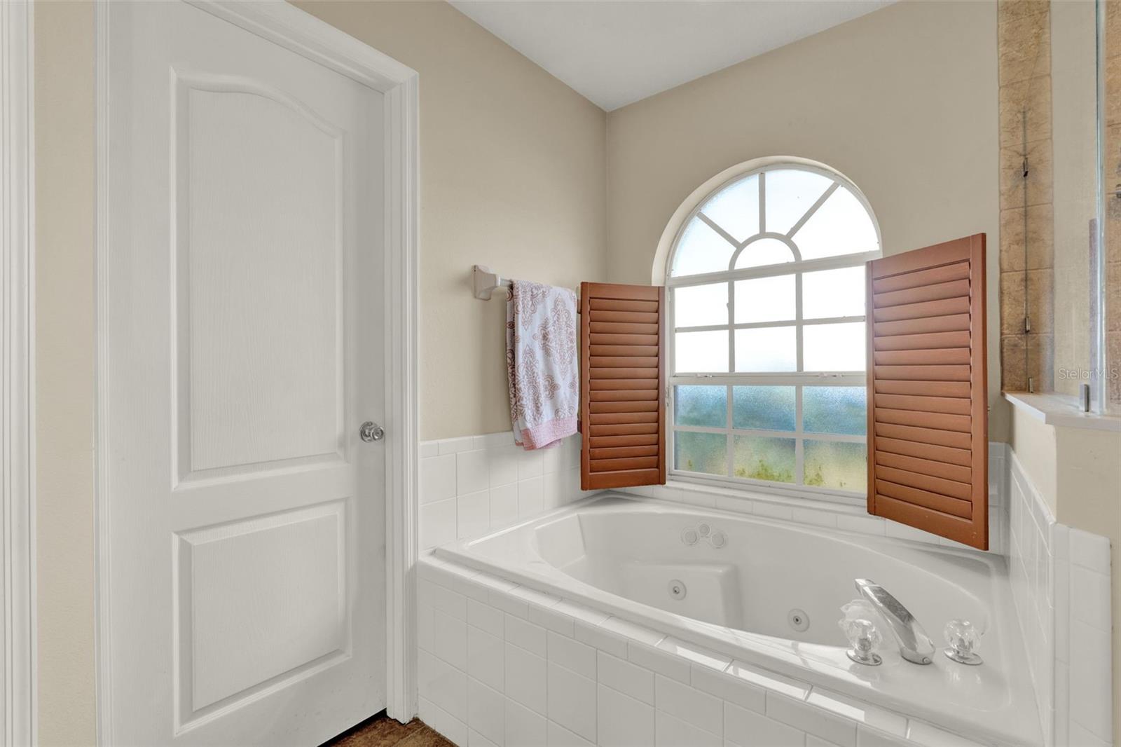 718 GRISHAM ST, WINTER GARDEN, FL, 34787