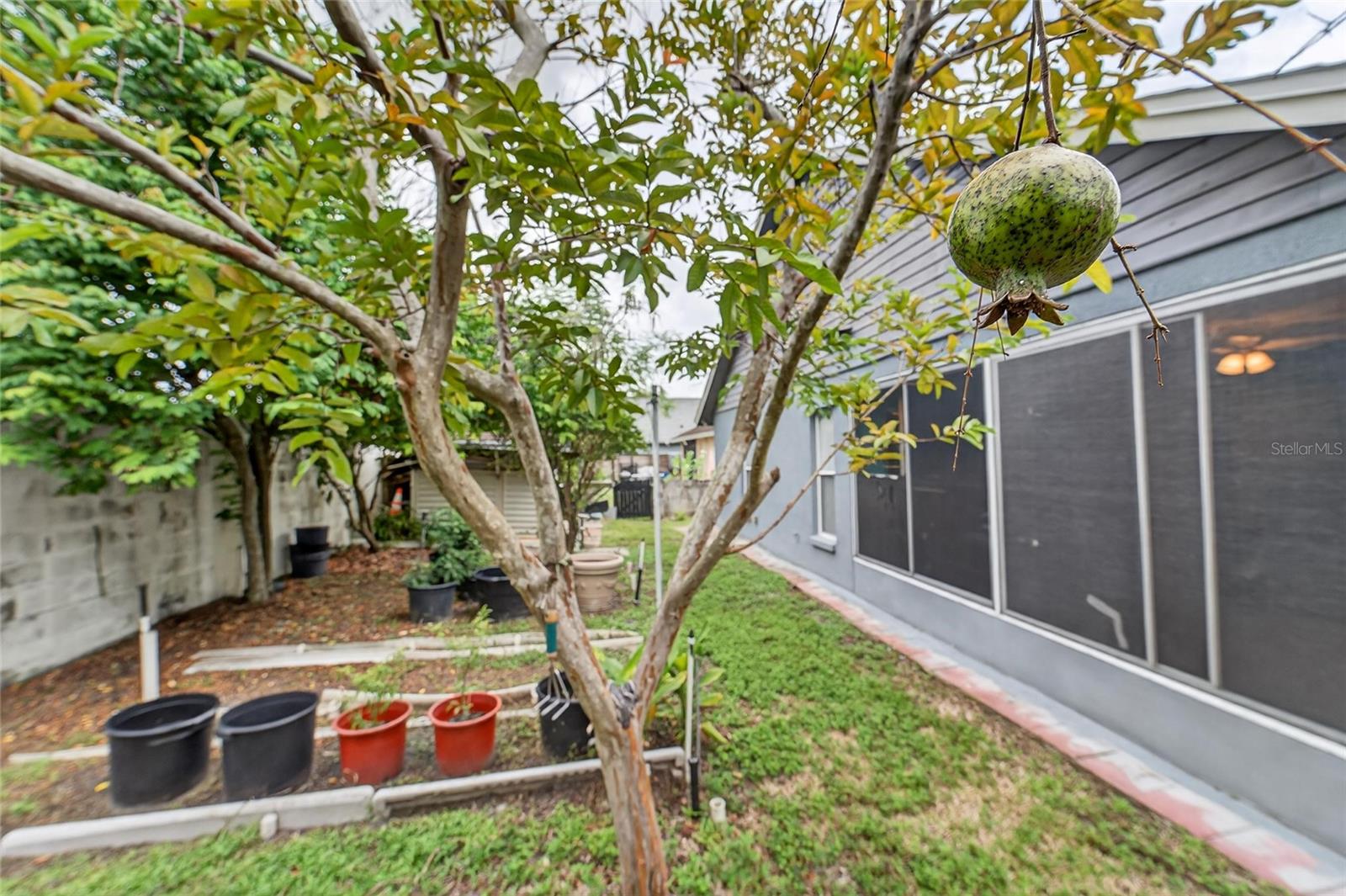 1727 SCOTCH PINE DR, BRANDON, FL, 33511