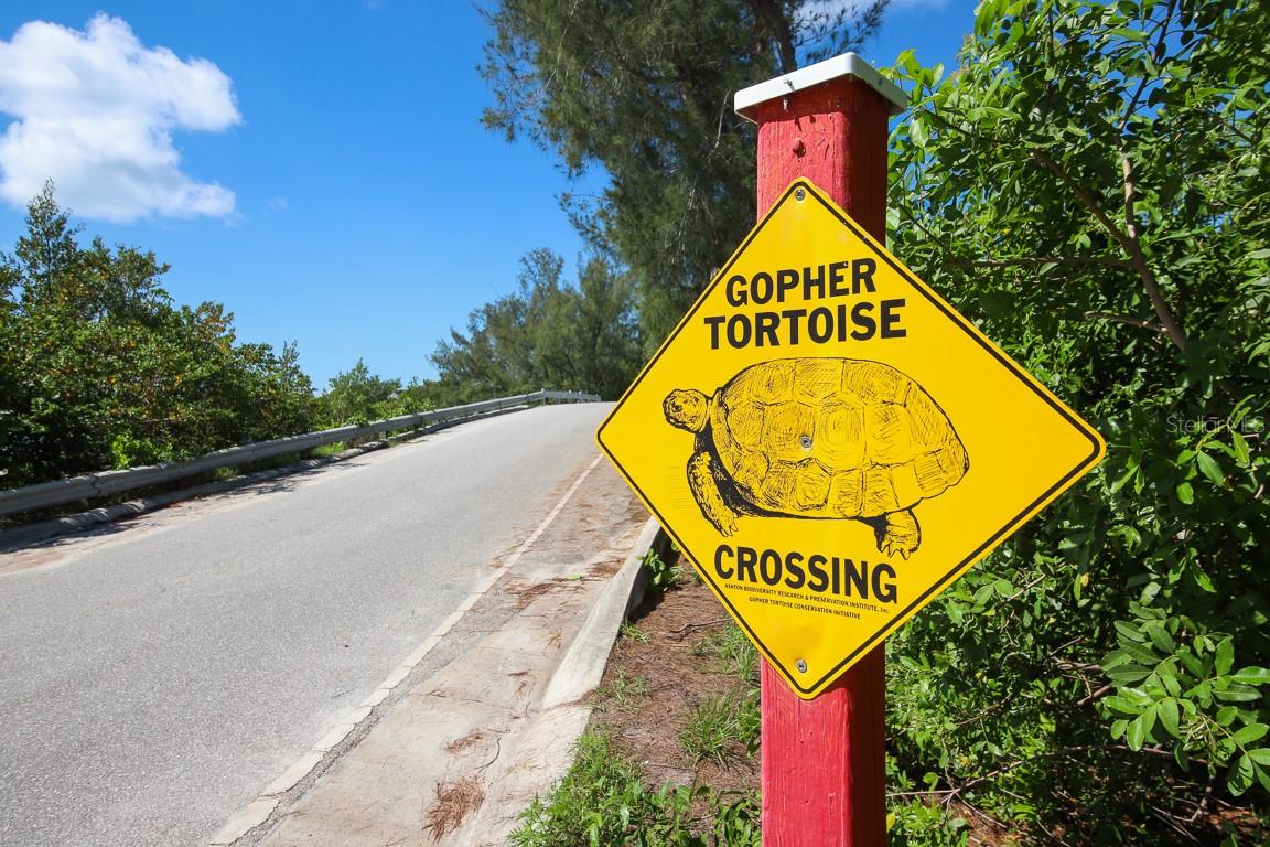 8 ADELE WAY, PLACIDA, FL, 33946