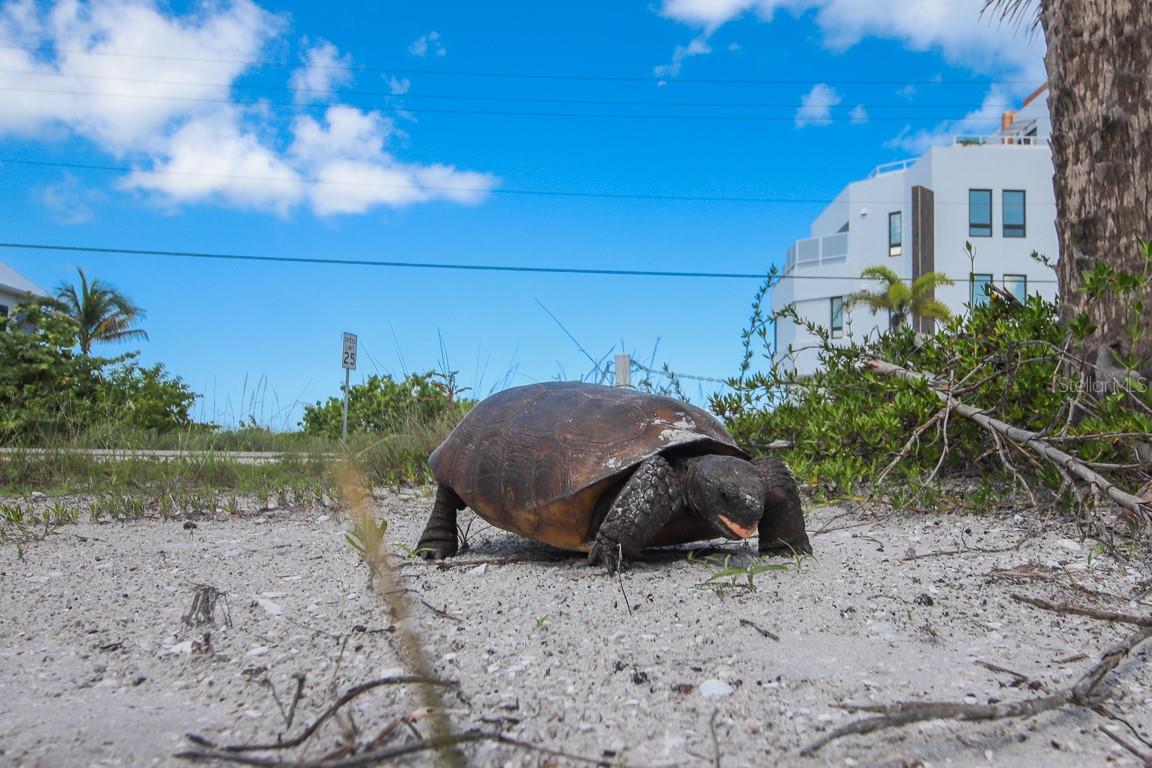 8 ADELE WAY, PLACIDA, FL, 33946