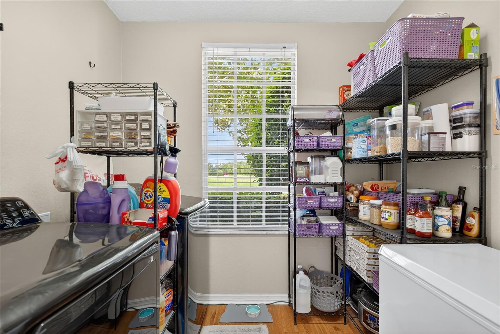 10639 MARSHA DR, NEW PORT RICHEY, FL, 34655