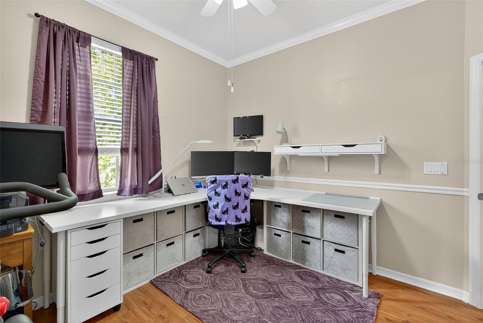 10639 MARSHA DR, NEW PORT RICHEY, FL, 34655