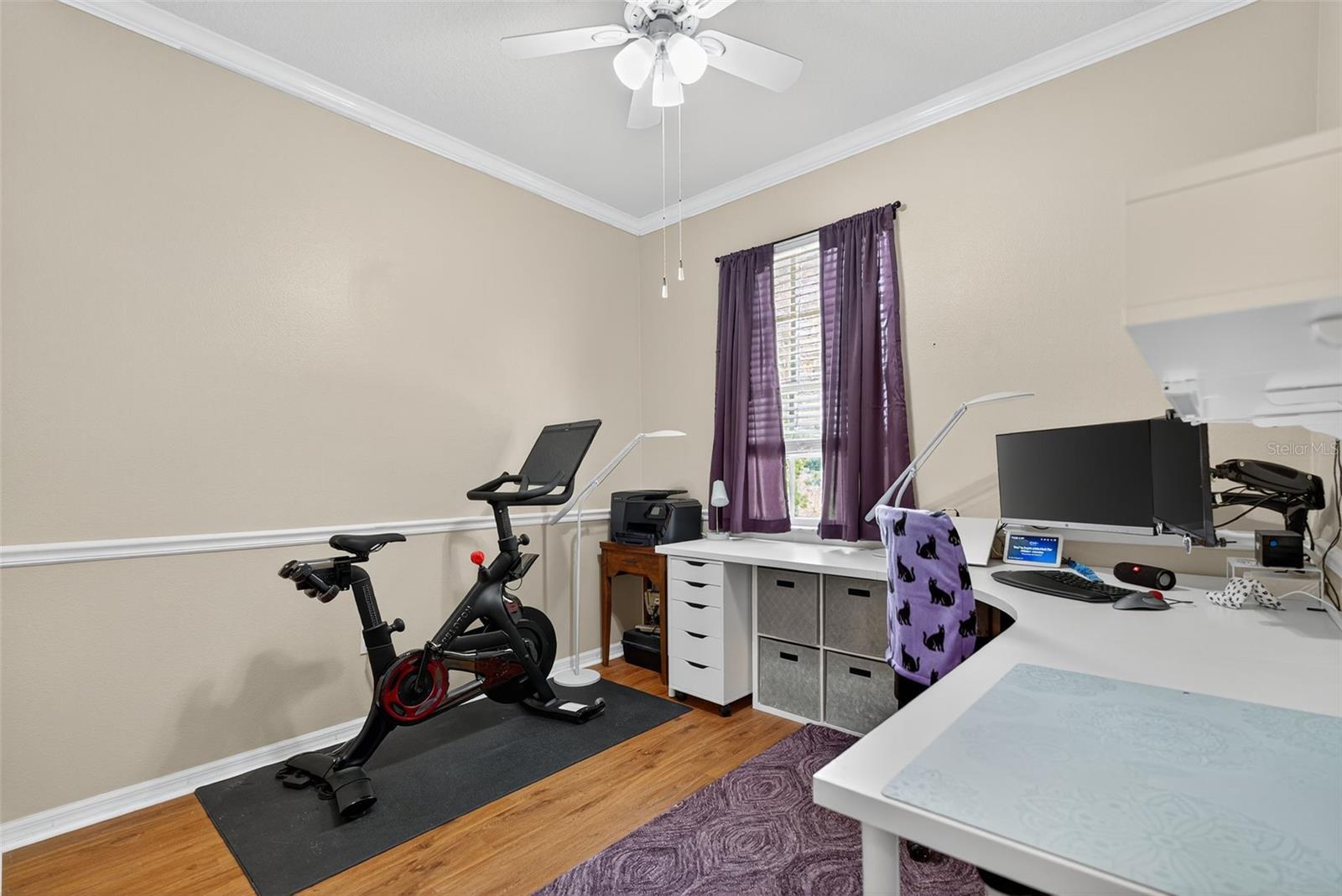 10639 MARSHA DR, NEW PORT RICHEY, FL, 34655