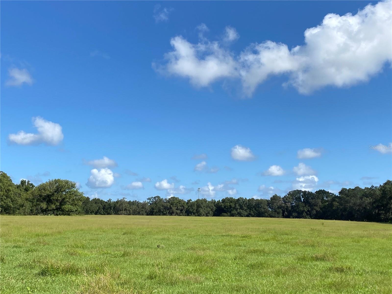 14280 SE 80TH AVE, SUMMERFIELD, FL, 34491