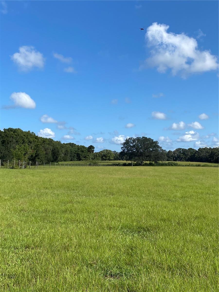 14280 SE 80TH AVE, SUMMERFIELD, FL, 34491