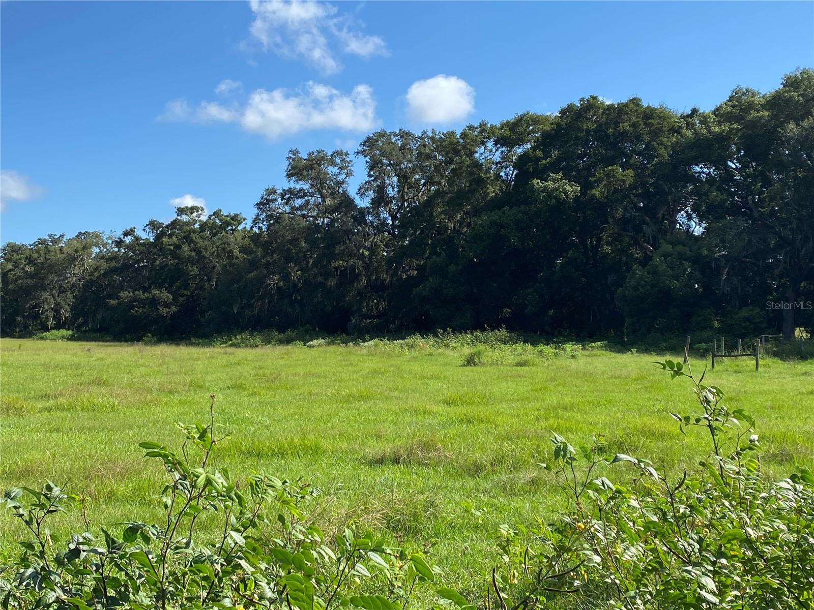 14280 SE 80TH AVE, SUMMERFIELD, FL, 34491