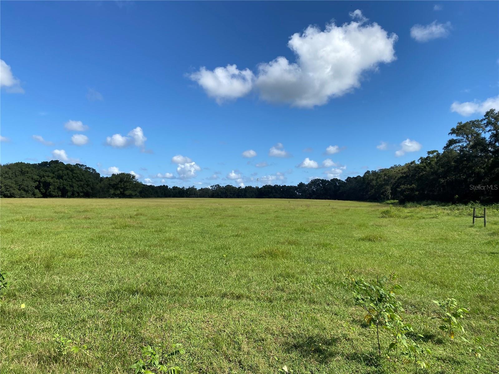 14280 SE 80TH AVE, SUMMERFIELD, FL, 34491