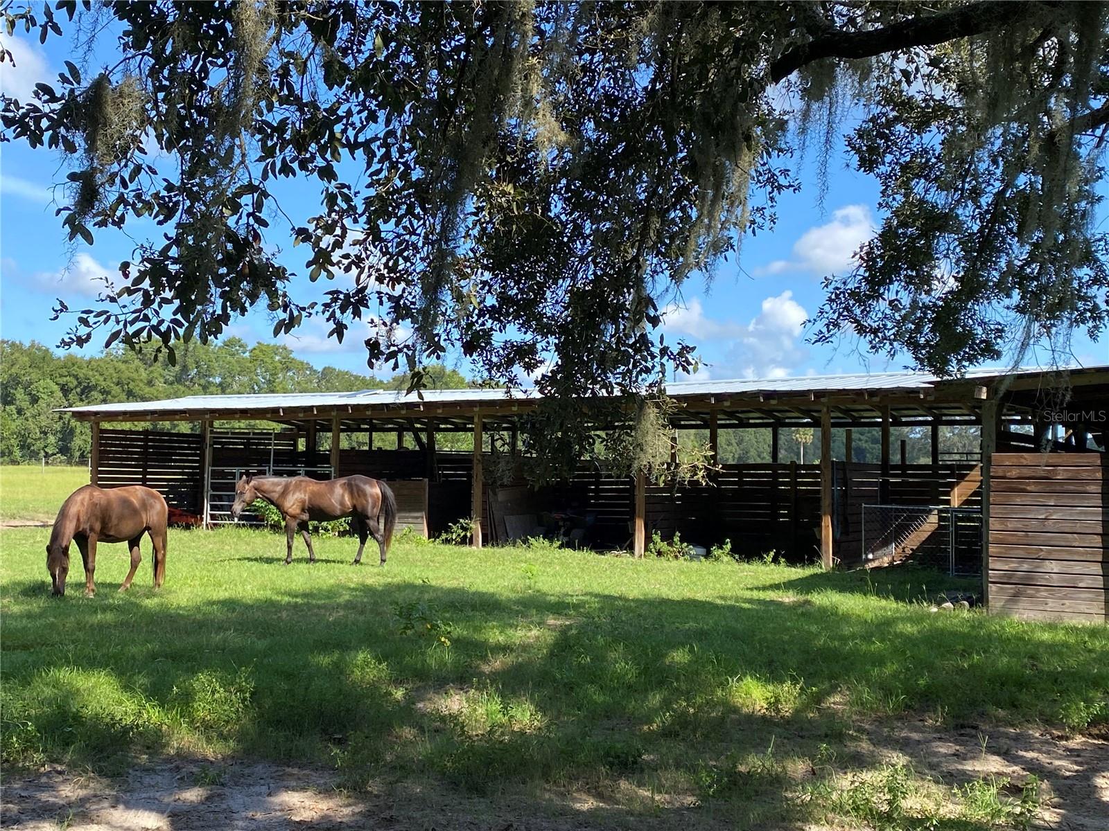 14280 SE 80TH AVE, SUMMERFIELD, FL, 34491