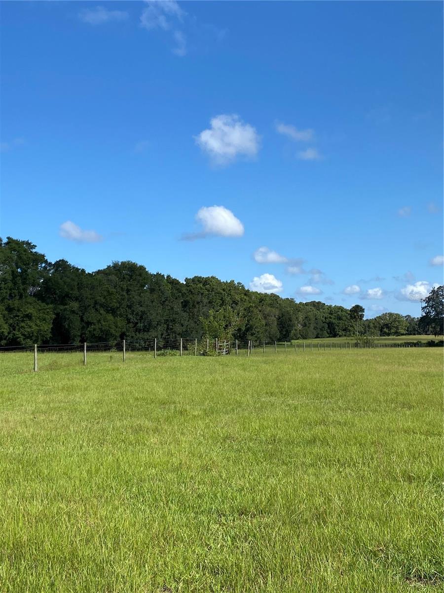 14280 SE 80TH AVE, SUMMERFIELD, FL, 34491