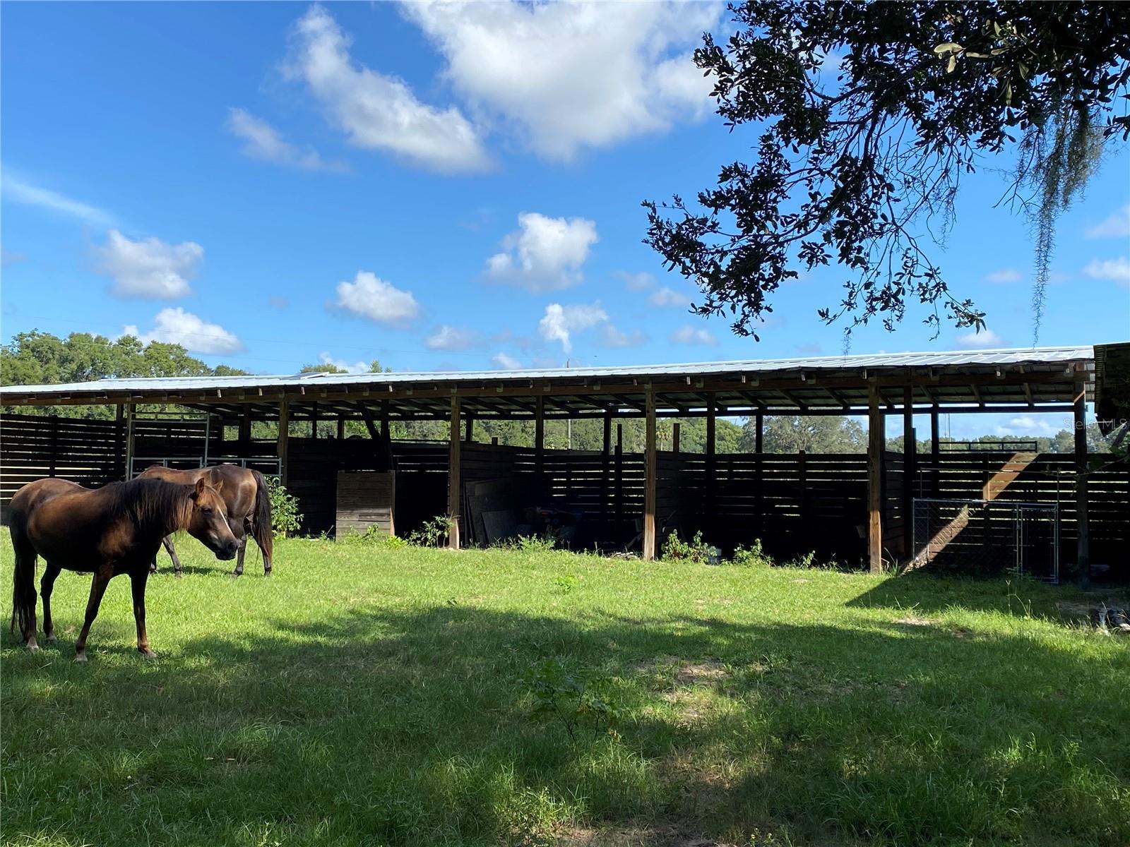 14280 SE 80TH AVE, SUMMERFIELD, FL, 34491