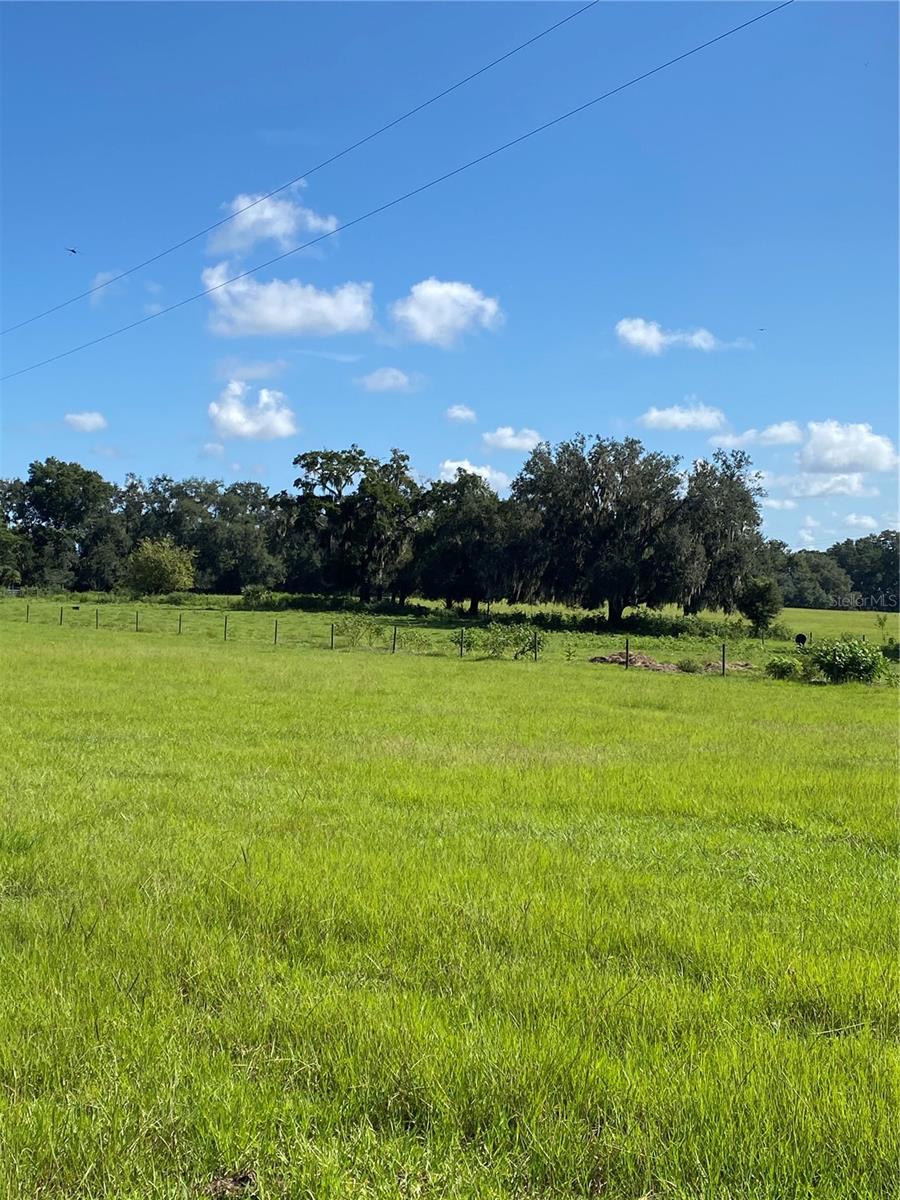 14280 SE 80TH AVE, SUMMERFIELD, FL, 34491