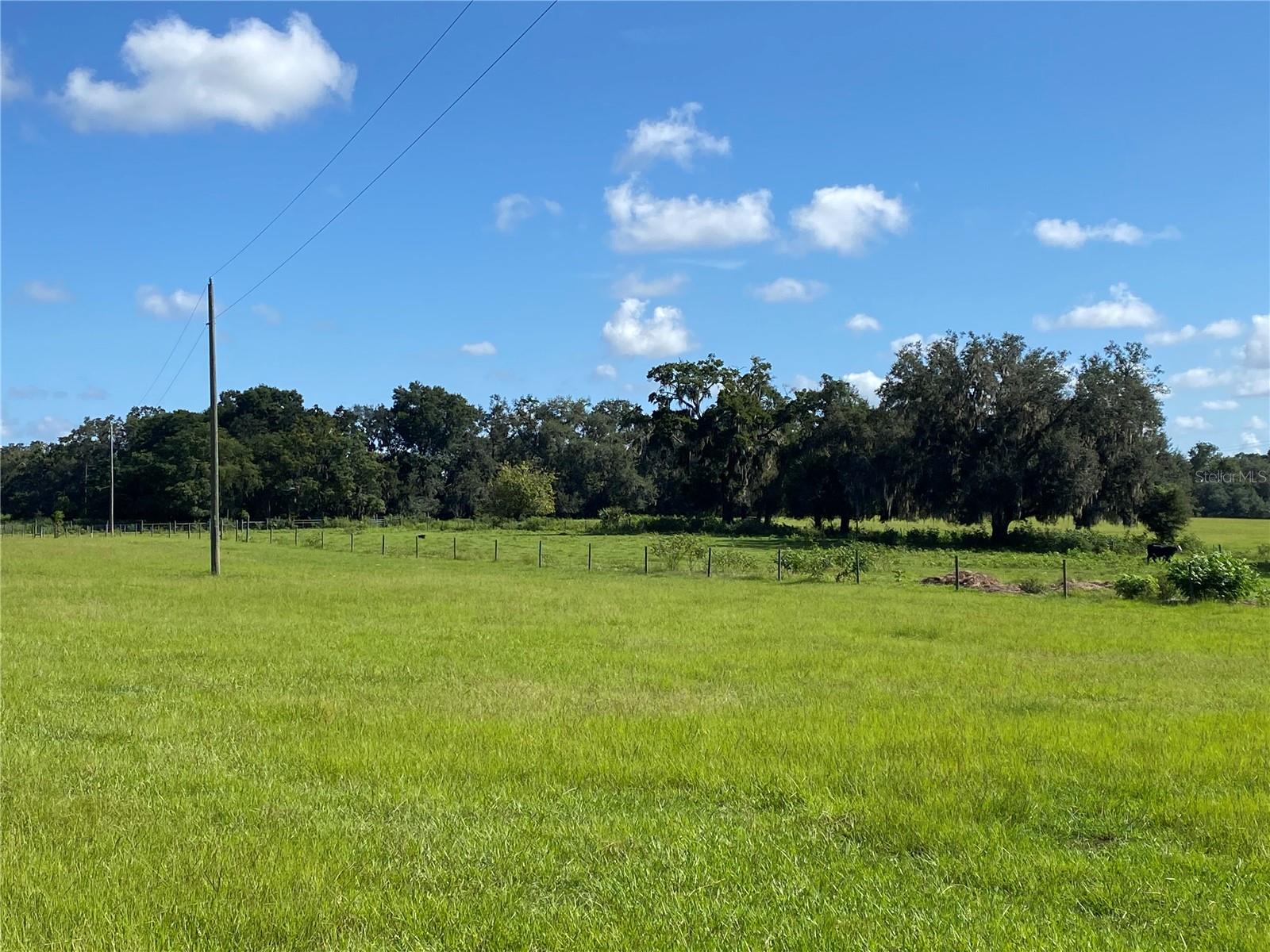 14280 SE 80TH AVE, SUMMERFIELD, FL, 34491