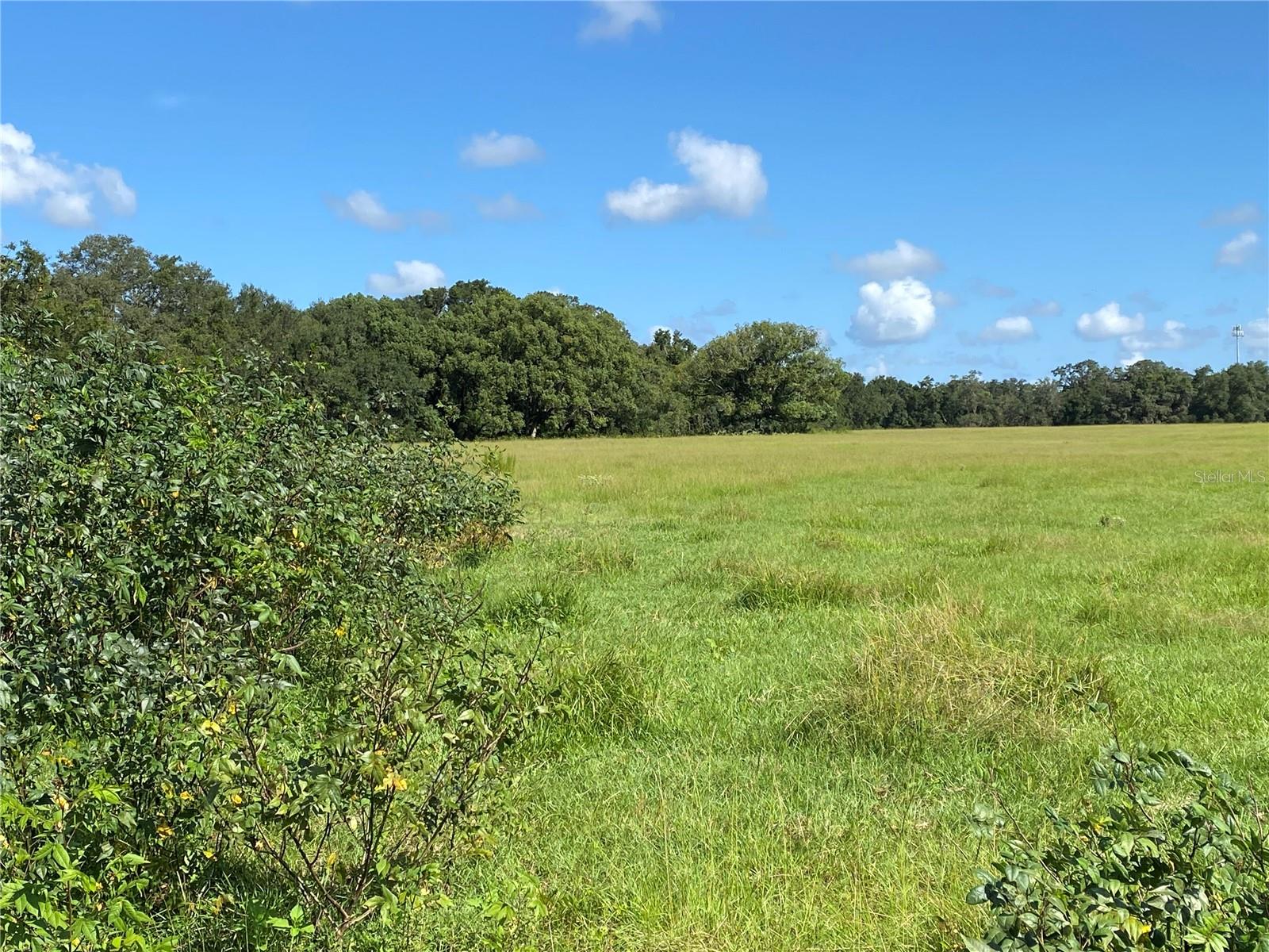 14280 SE 80TH AVE, SUMMERFIELD, FL, 34491