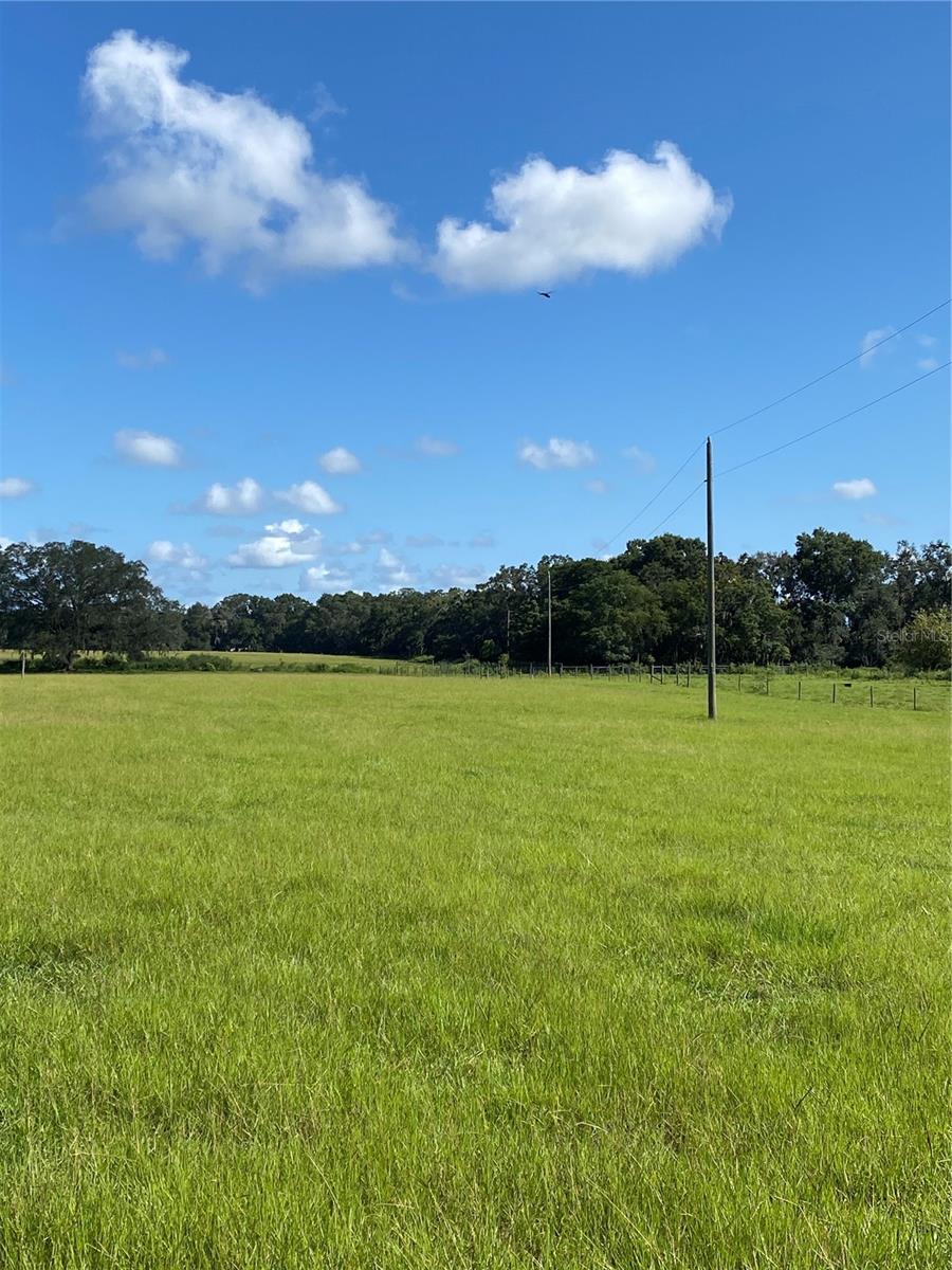 14280 SE 80TH AVE, SUMMERFIELD, FL, 34491