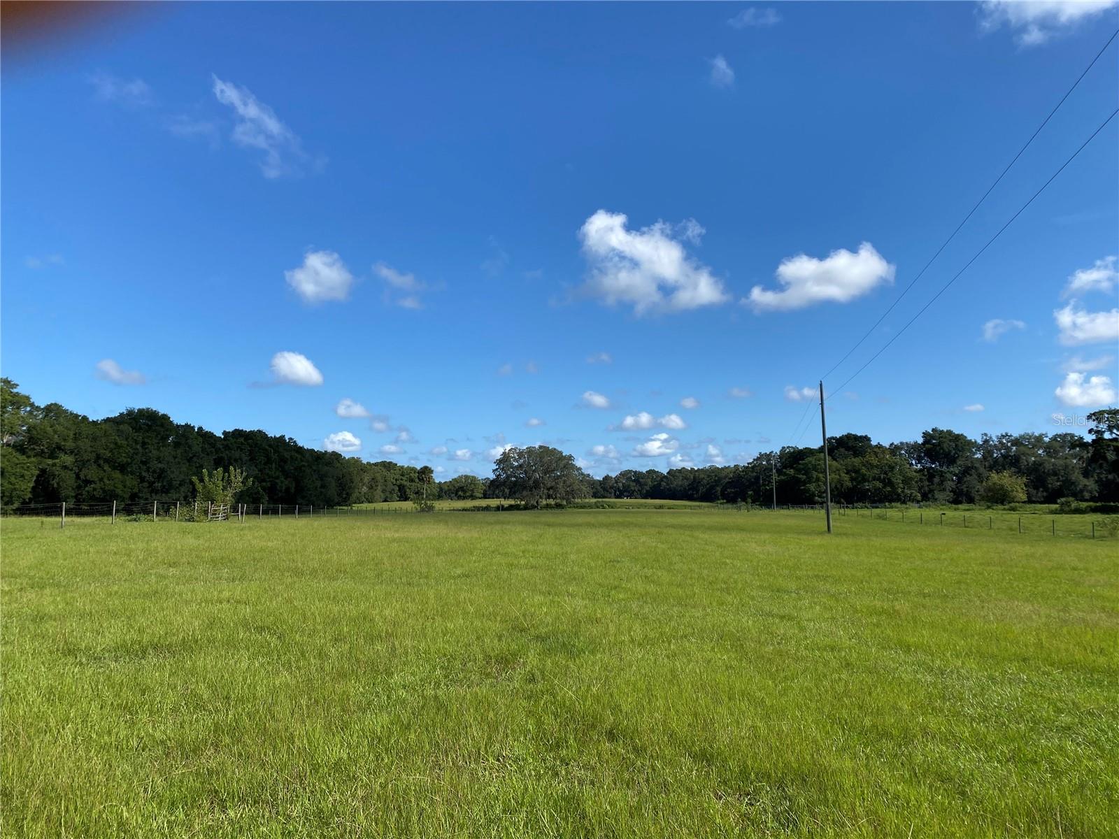 14280 SE 80TH AVE, SUMMERFIELD, FL, 34491