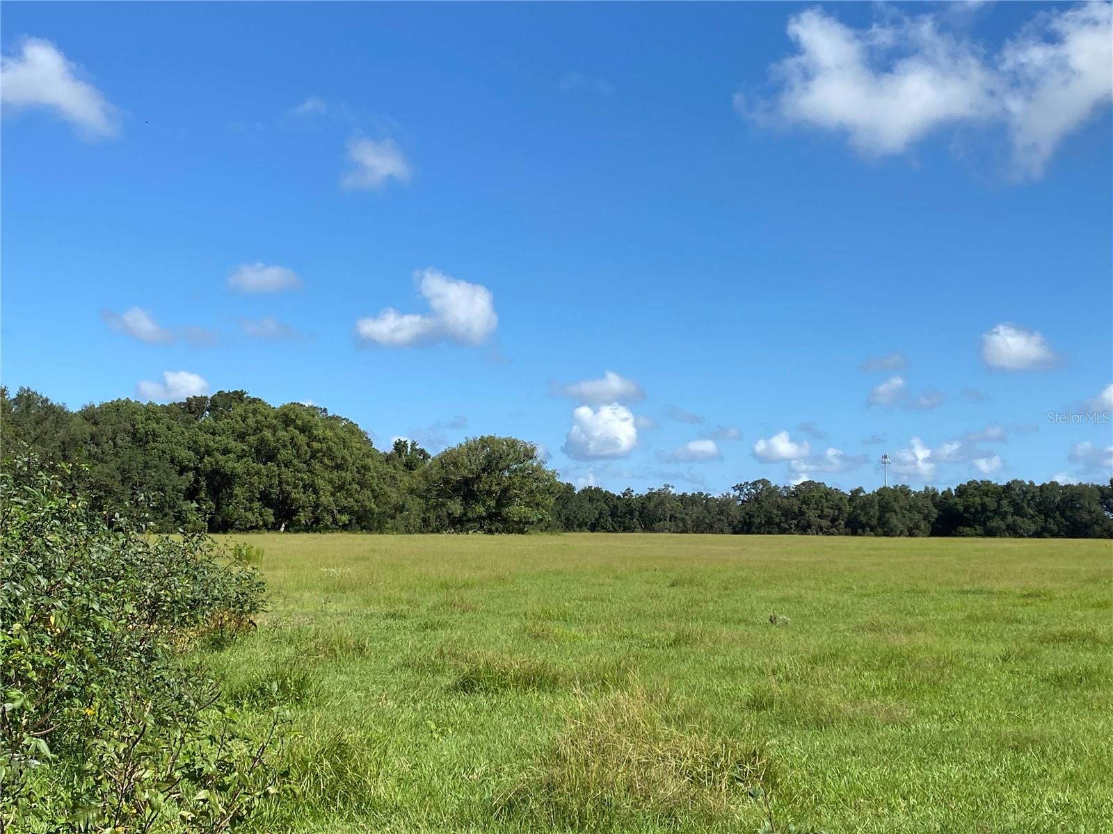 14280 SE 80TH AVE, SUMMERFIELD, FL, 34491