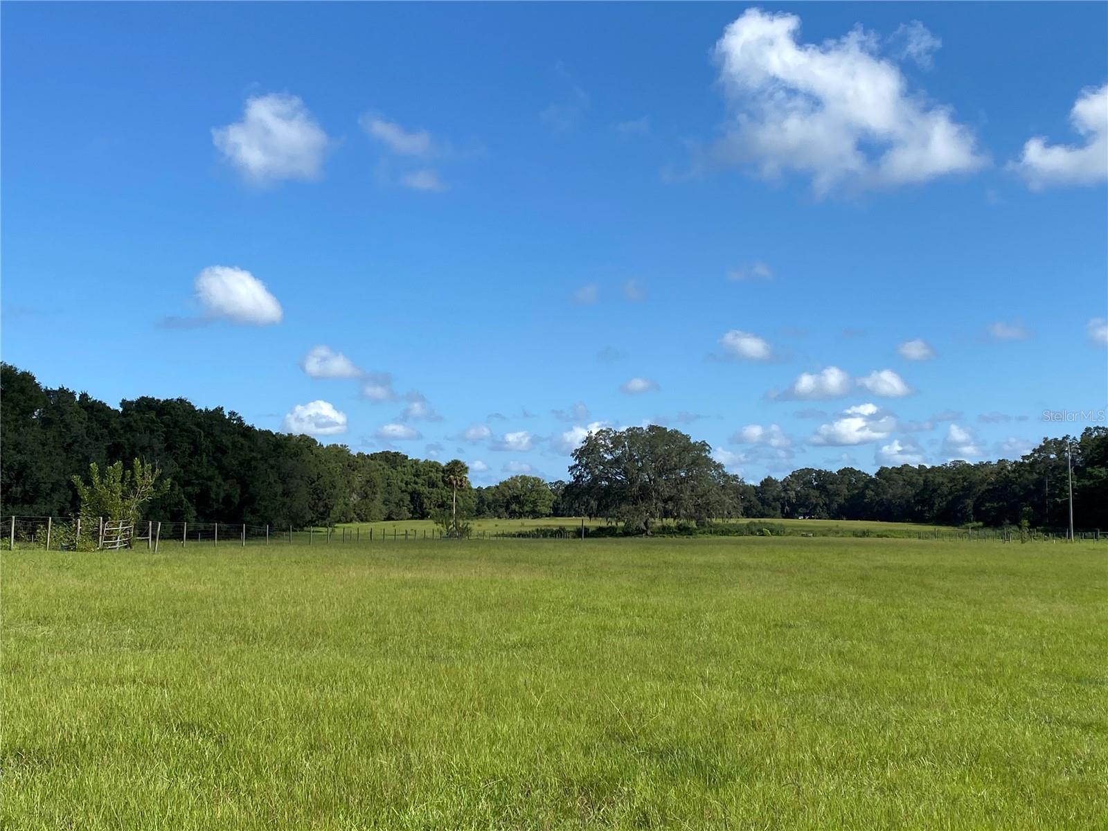 14280 SE 80TH AVE, SUMMERFIELD, FL, 34491