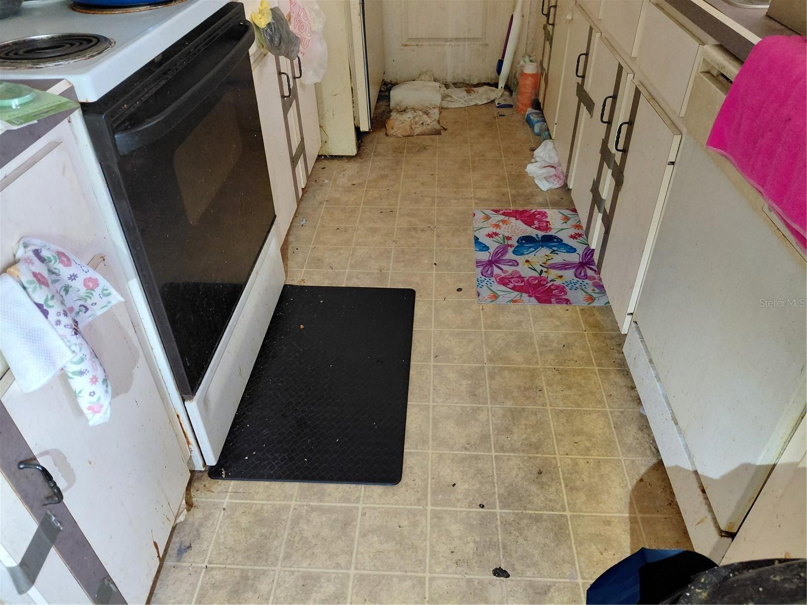 2911 VISTA PALM DR, EDGEWATER, FL, 32141