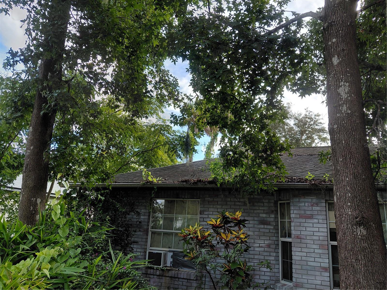 2911 VISTA PALM DR, EDGEWATER, FL, 32141