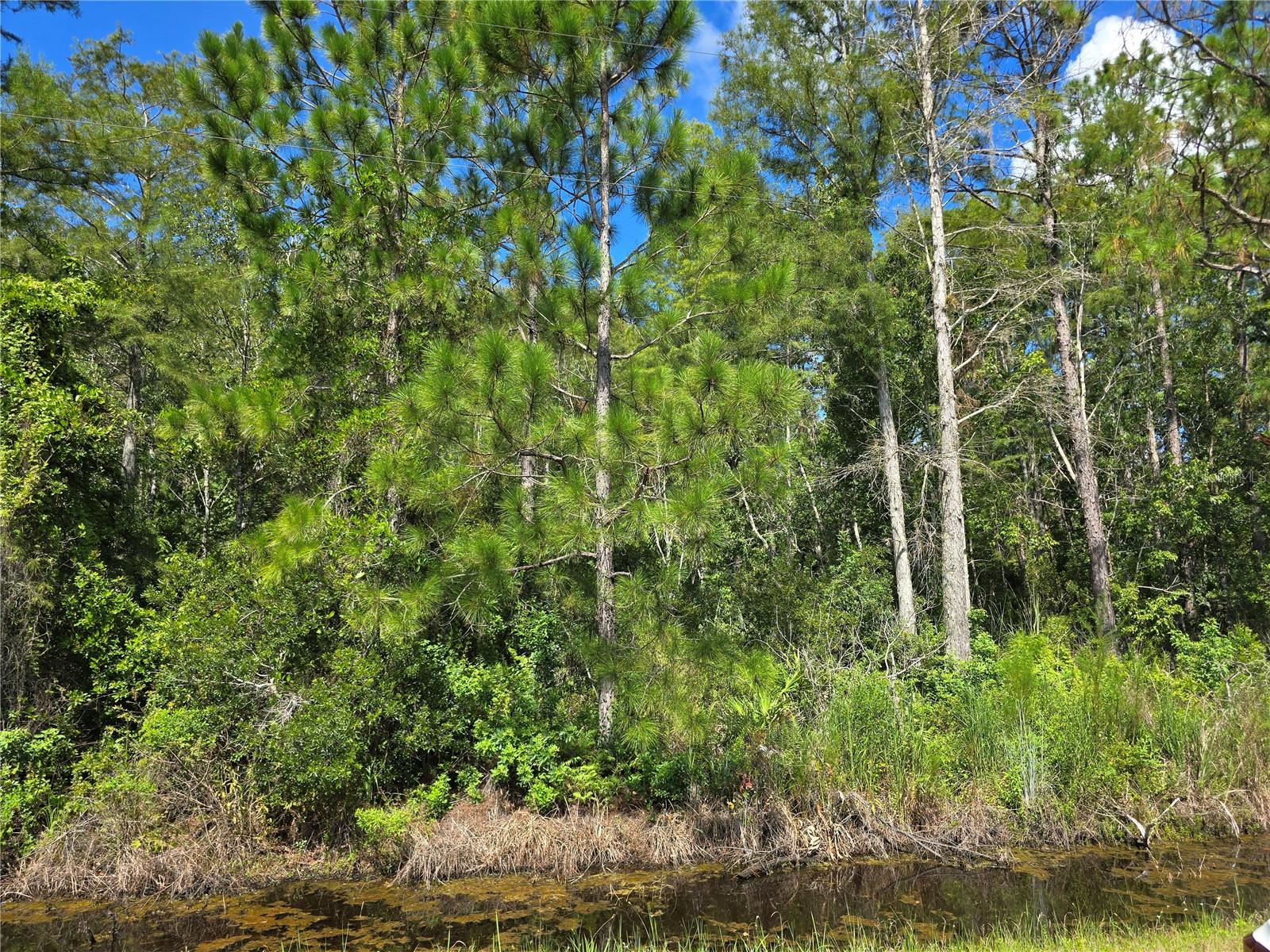 CRABGRASS RD, ST CLOUD, FL, 34773