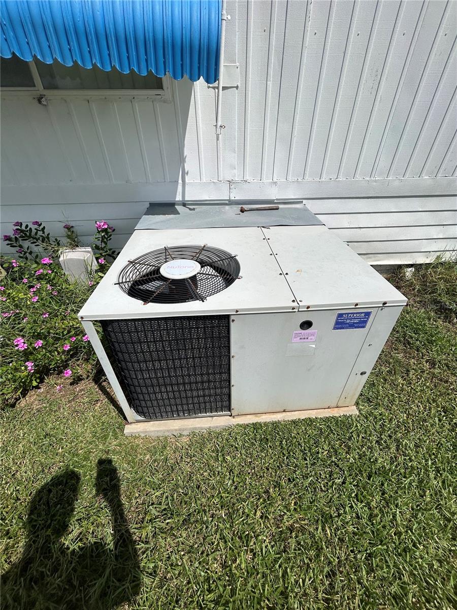 229 DIXIE LN, TARPON SPRINGS, FL, 34689