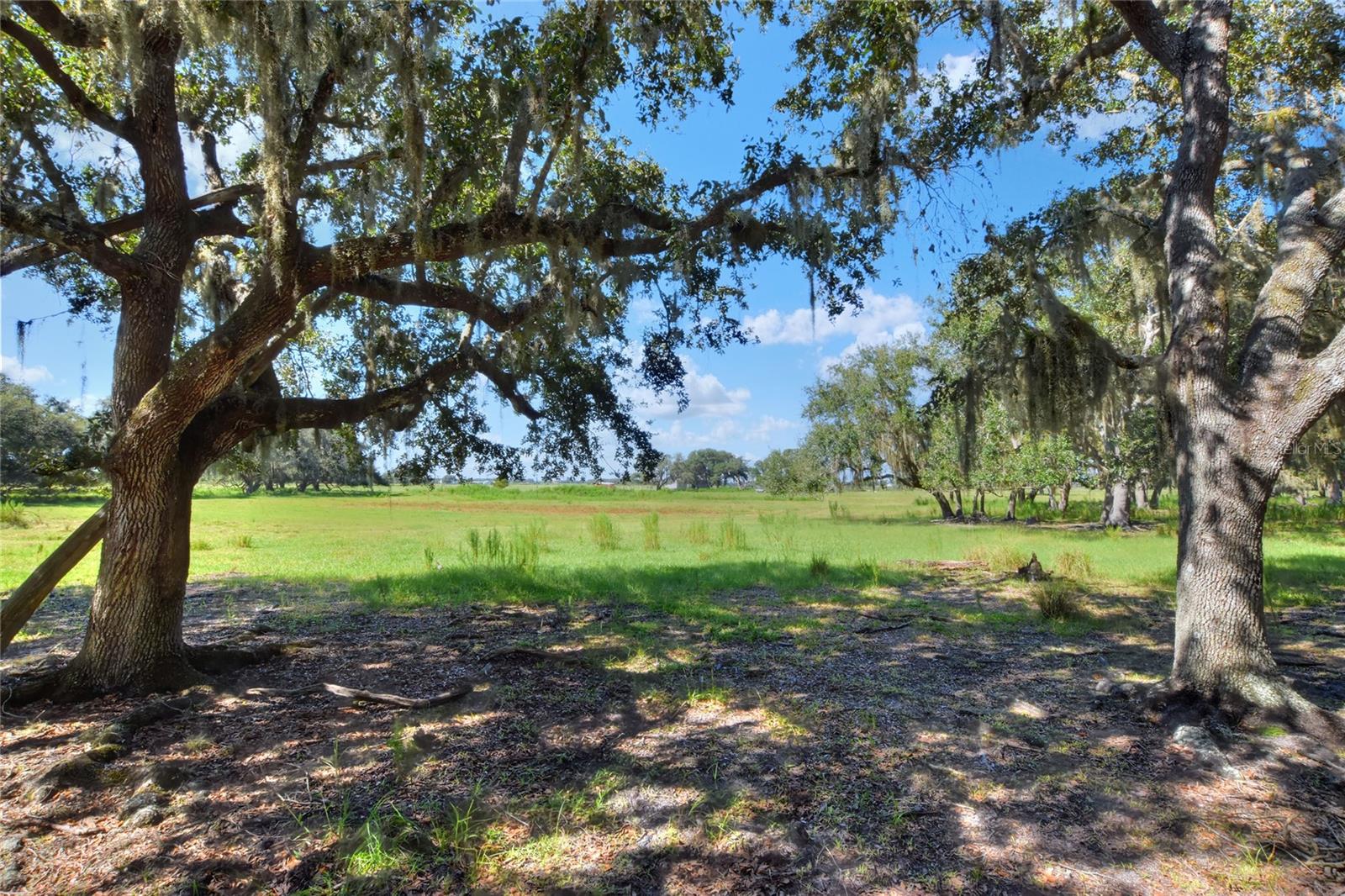 NW LIMESTONE HEIGHTS ST, ARCADIA, FL, 34266