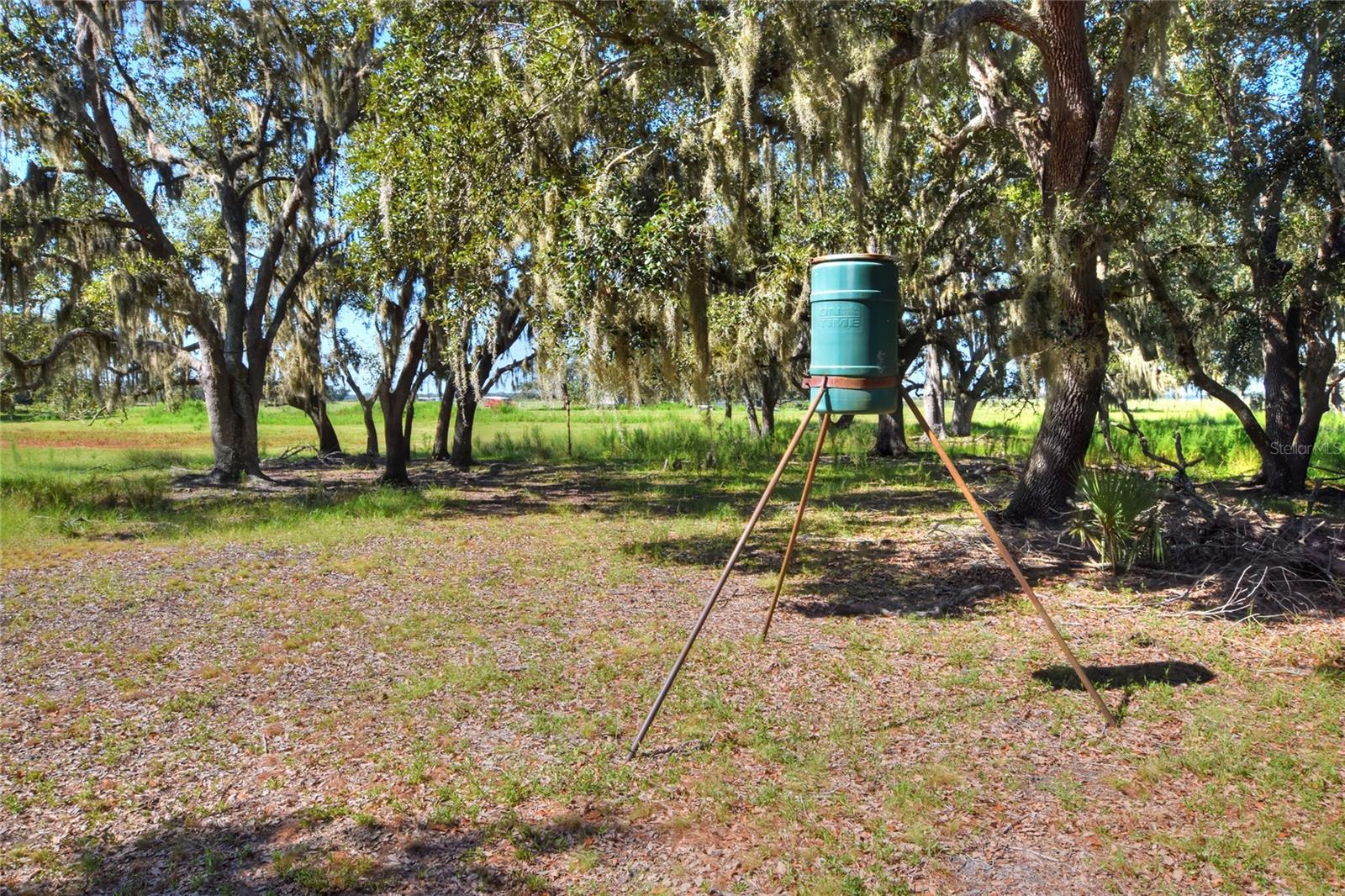 NW LIMESTONE HEIGHTS ST, ARCADIA, FL, 34266