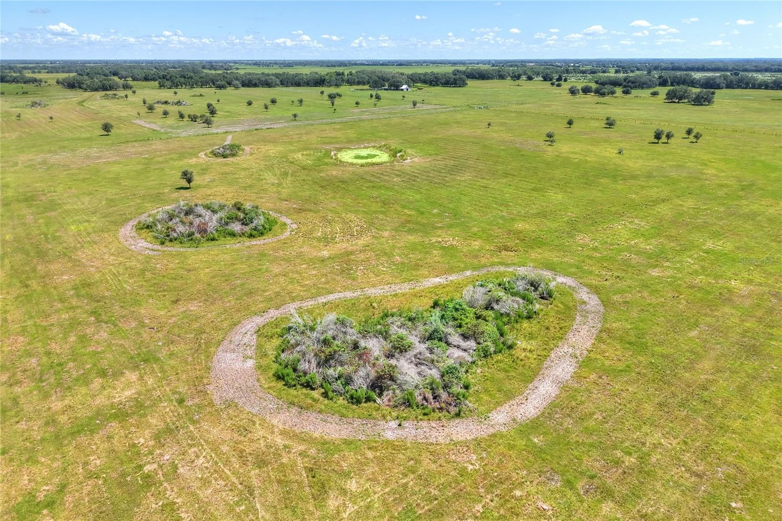 NW LIMESTONE HEIGHTS ST, ARCADIA, FL, 34266