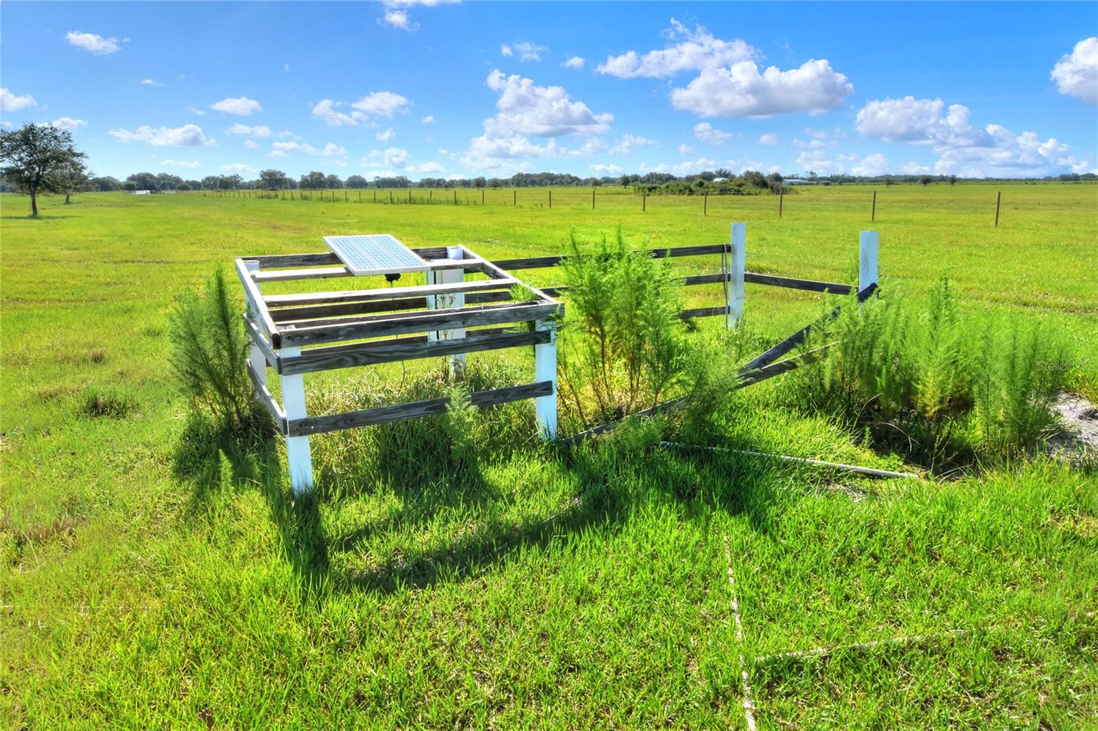 NW LIMESTONE HEIGHTS ST, ARCADIA, FL, 34266