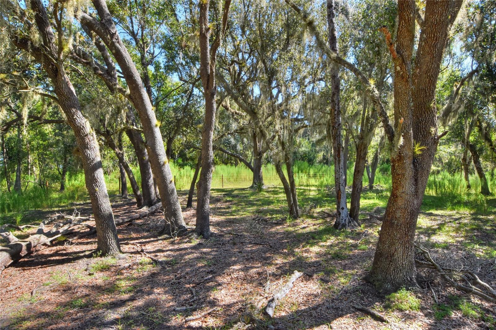 NW LIMESTONE HEIGHTS ST, ARCADIA, FL, 34266